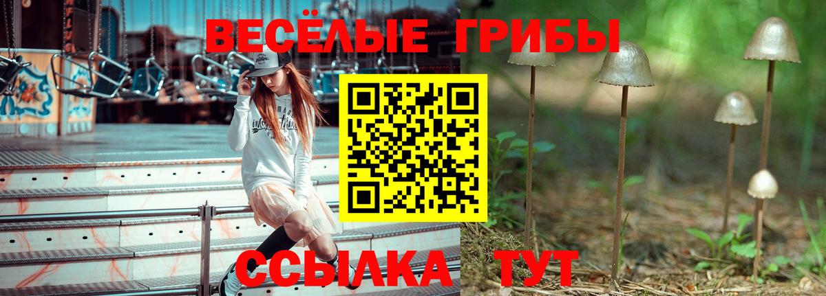 Псилоцибиновые грибы GOLDEN TEACHER Знаменск