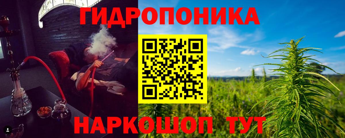 Бошки марихуана план  Вход с VPN  Каннабис AK-47  Знаменск 
